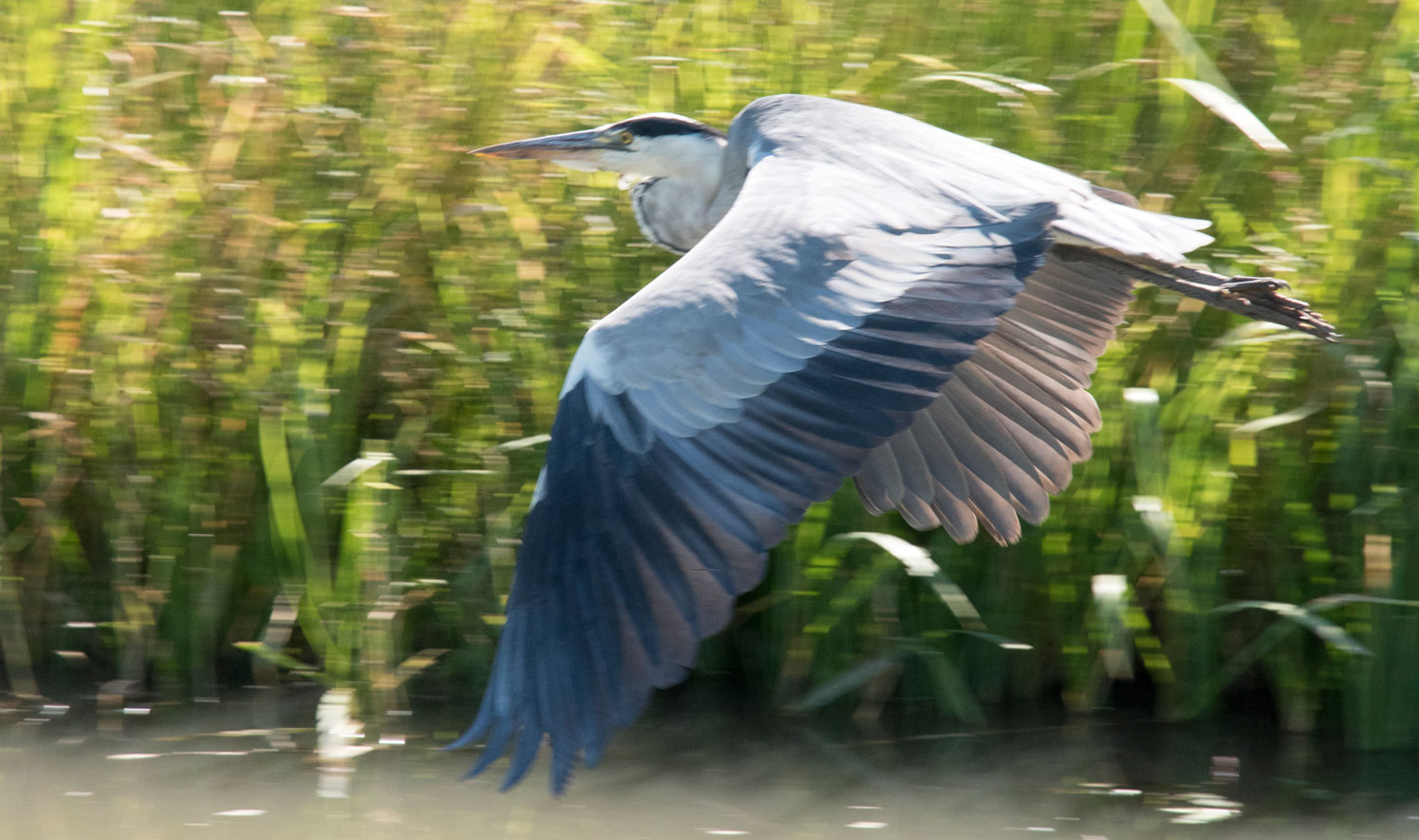 In volle vlucht II