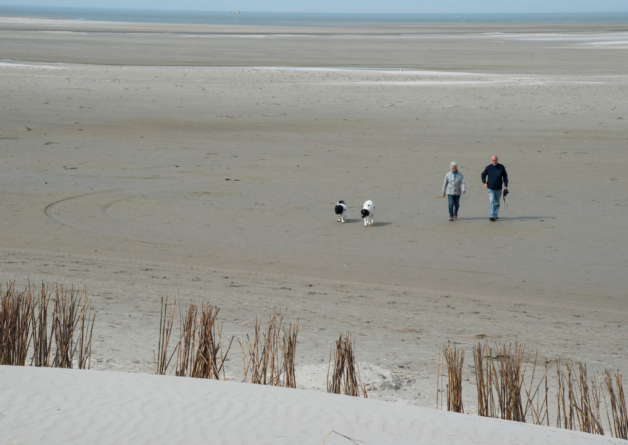 Strand Ameland