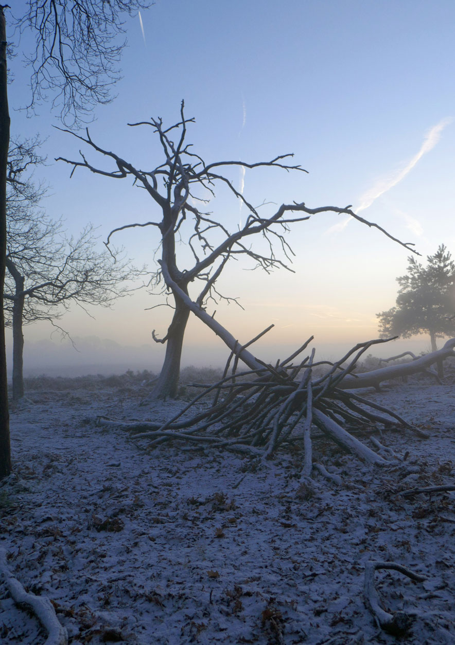 Zonsopkomst in Deelerwoud II