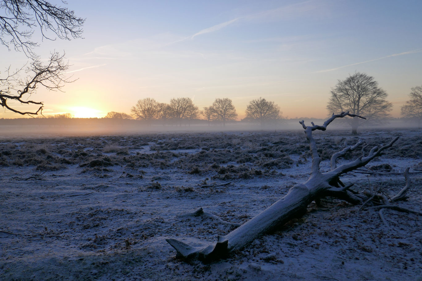 Zonsopkomst in Deelerwoud IV