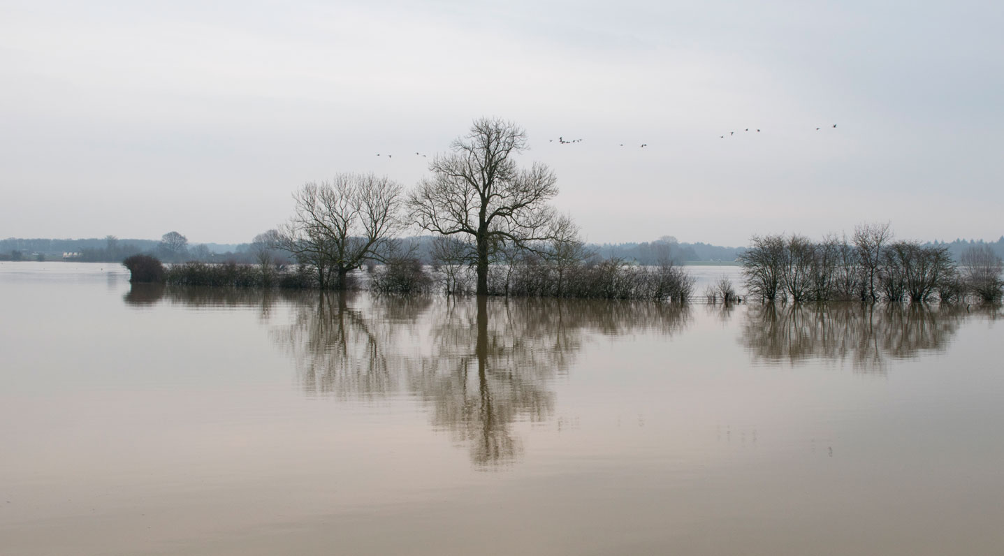 Ijssel uitgespreid II