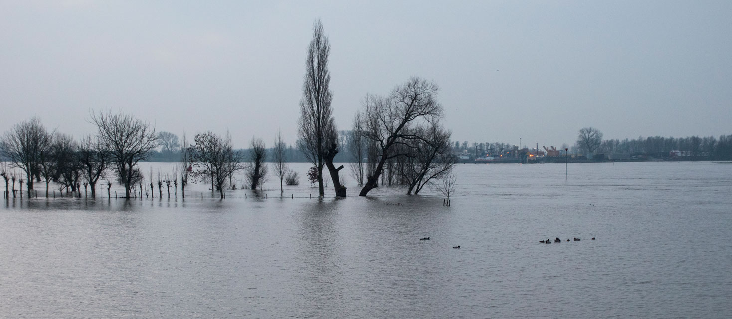 Hoog water Waal 01