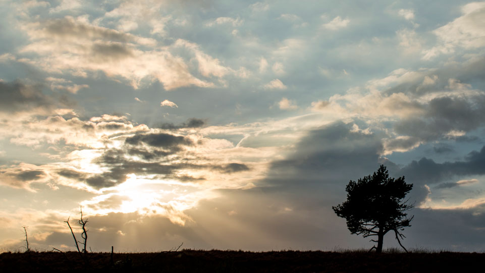 Lichtspel over Veluwe