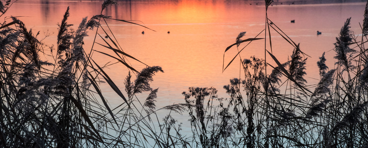 Zonsondergang