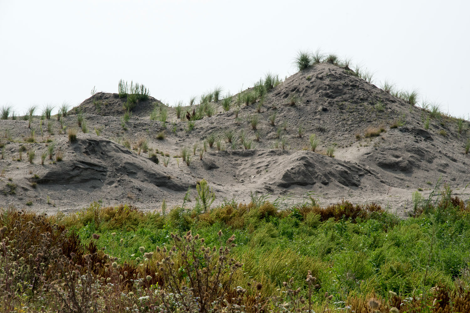 Marker wadden