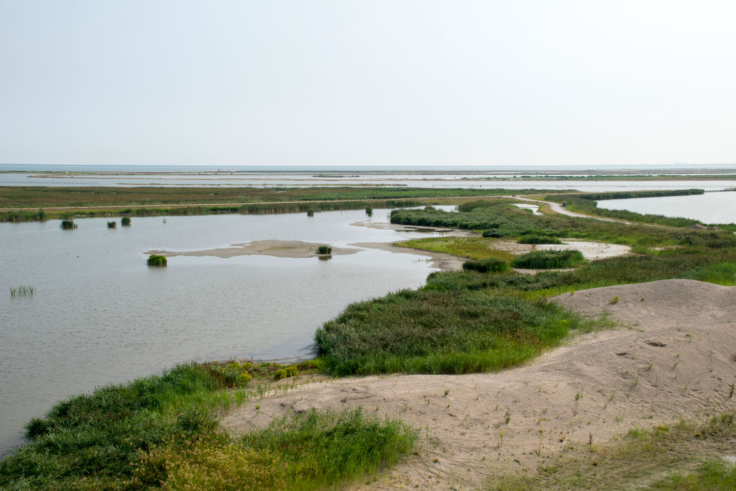 Marker wadden