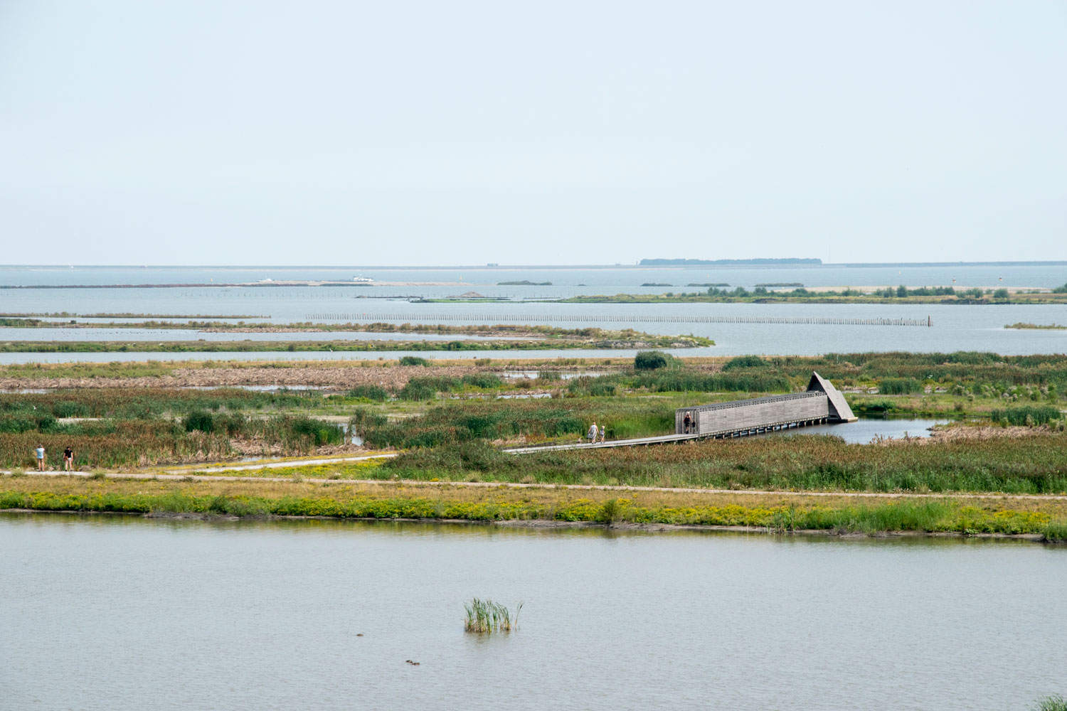 Marker wadden