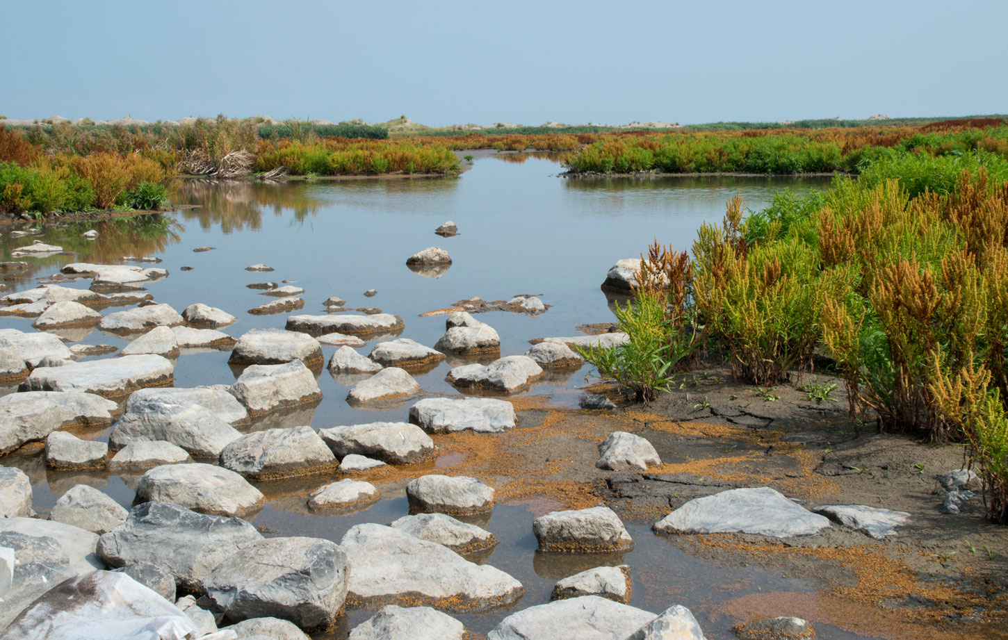 Marker wadden