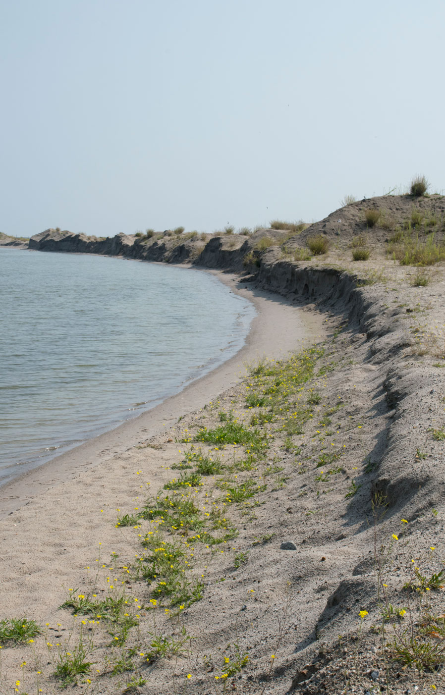 Marker wadden