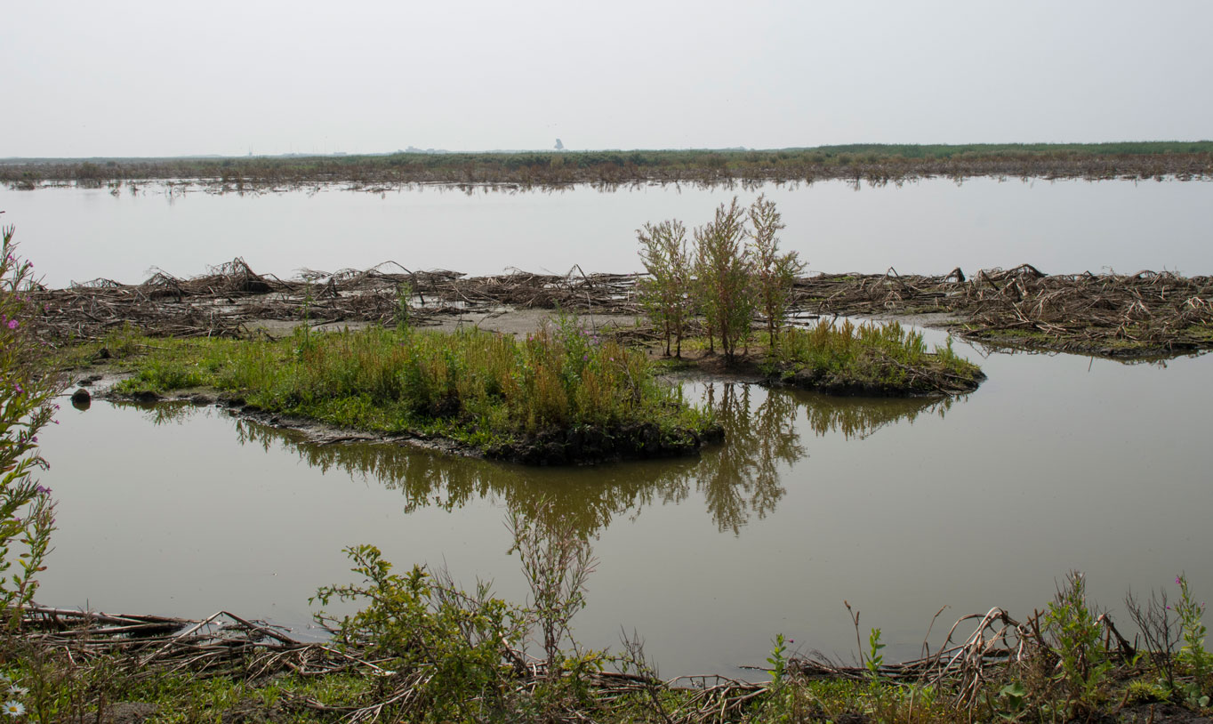 Marker wadden