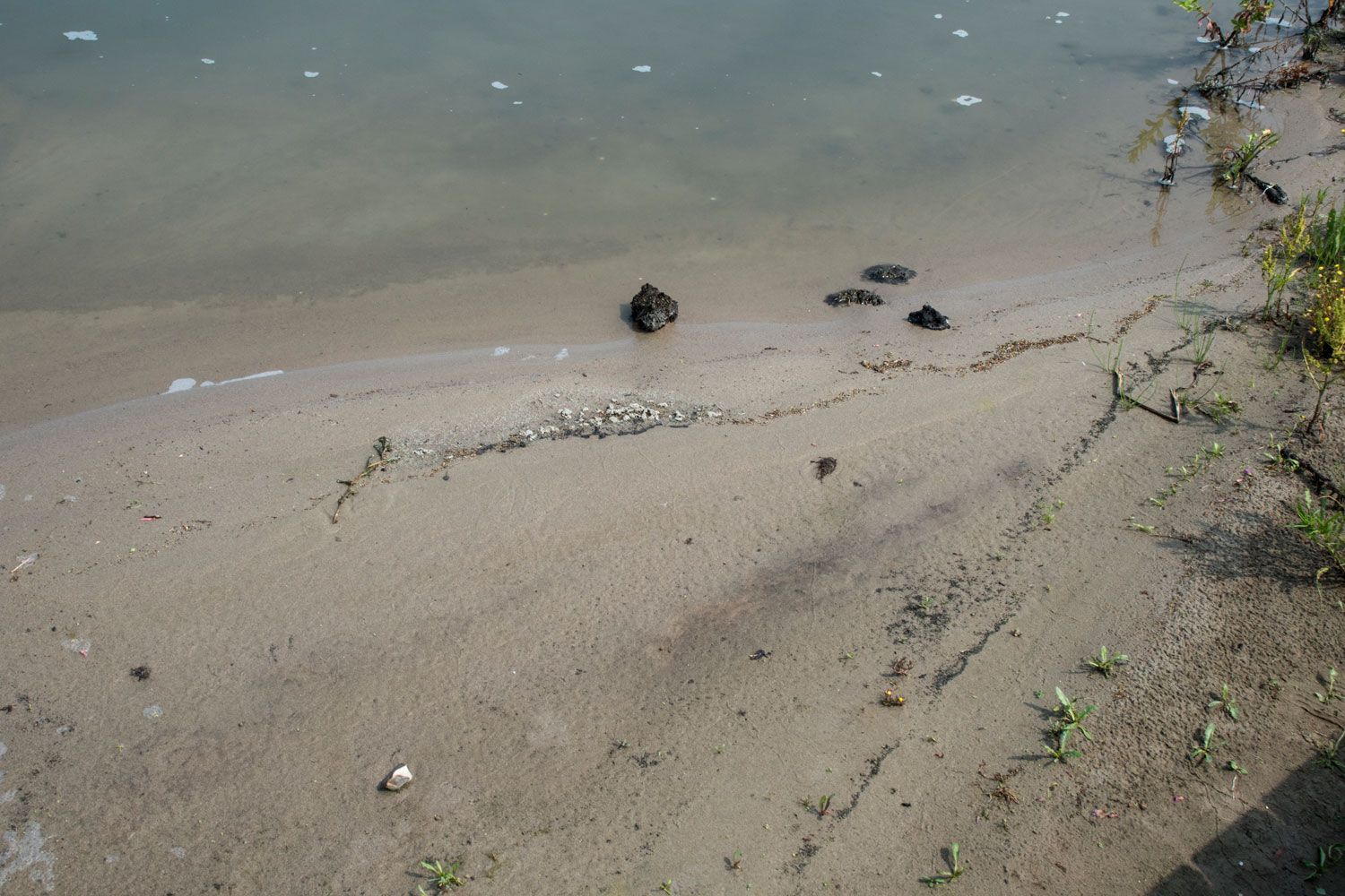 Marker wadden