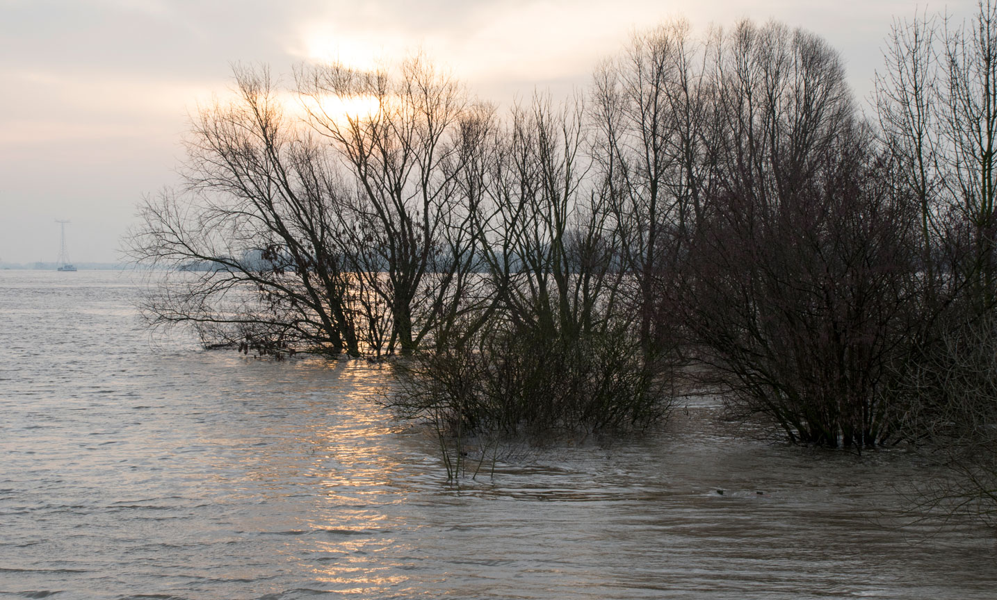 Hoog water in Waal